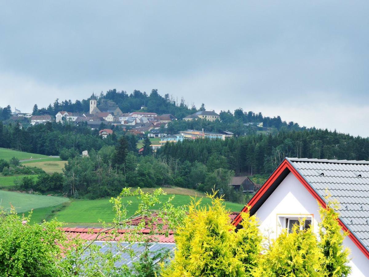 Ferienwohnung Pichler Traunstein 外观 照片